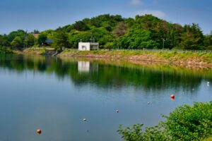 水質汚濁アオコ 湖沼