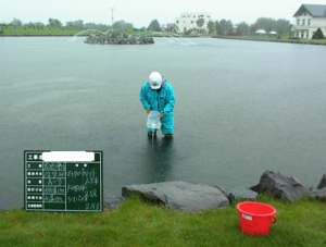 水質汚濁アオコ 対策 浄化