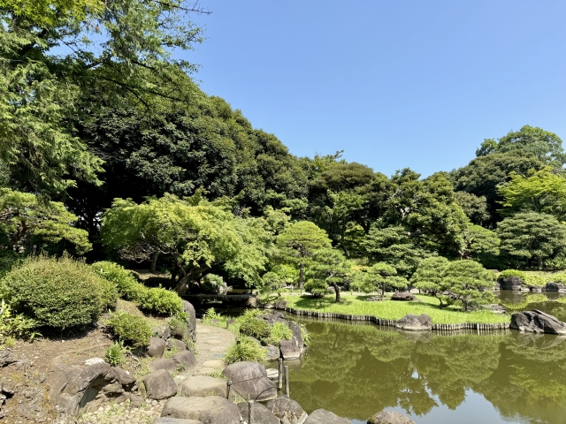 池 ヘドロ 浄化 原因