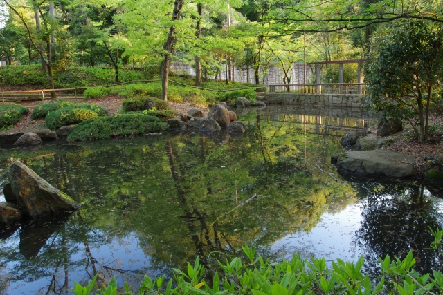 池 ヘドロ 浄化 ビオトープ