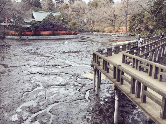 池 ヘドロ 浄化 かいぼり