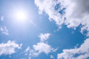 水耕栽培 アオコ 薬剤 日光 晴天